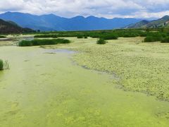 -泸沽湖国家级风景名胜区走婚桥