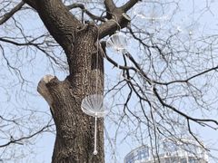 -渭滨公园