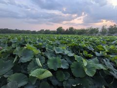 -云龙湖旅游景区