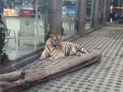 -西安秦岭野生动物园