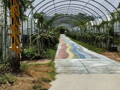 -海堤葡萄园中小学生研学基地