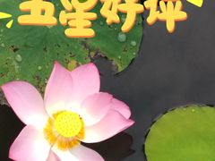 -潘塘公园