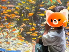 -太平洋海底世界