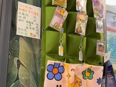 -吉丁鸟咖·异宠·寄养
