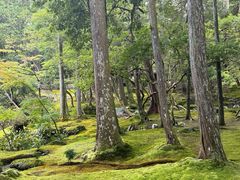 -西芳寺(苔寺)
