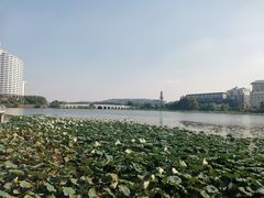 -武汉大学中南医院(总院区)