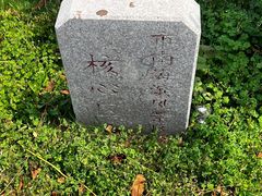 -燕儿岛山公园
