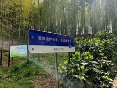 -宁波浙东大竹海景区