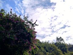 -广州市白云山风景名胜区