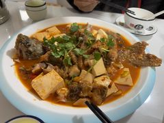 -煲来饱去冷水鱼
