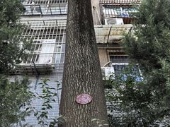 -莲湖公园