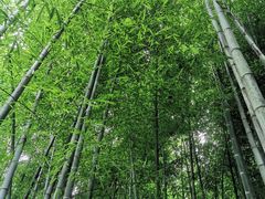 -湾里人家(旺山景区店)