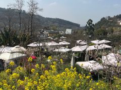 -桃源山庄·水蜜桃采摘·柴火鸡·烧烤团建(龙泉山店)