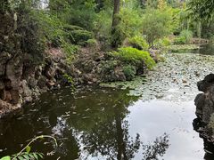 -昆明植物园