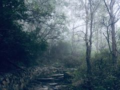 -阳台山自然风景区
