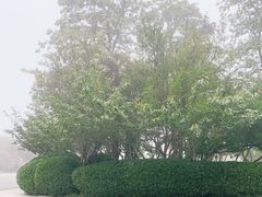 -青岛银沙滩温德姆至尊酒店