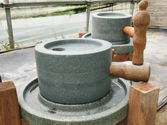 -前小桔亲子创意农场·草莓采摘·露营烧烤