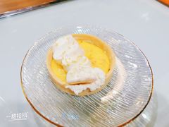 柠檬挞-Husky Go! 哈士奇体验馆·宠物咖啡厅狗咖