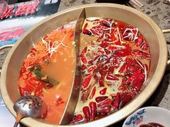 -小龙坎火锅(东汇城店)