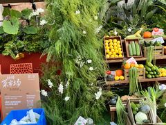 -蘑界·野生菌火锅(深业上城店)