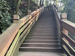 -青城山