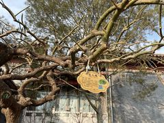 -北京鲁迅博物馆(北京新文化运动纪念馆鲁博馆区)