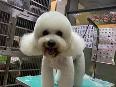 -动物缘宠物医院·骨科·猫科(西二环店)