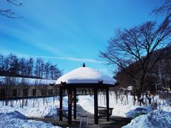 -横道河子东北虎林园