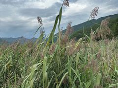 -丽江泸沽湖景区