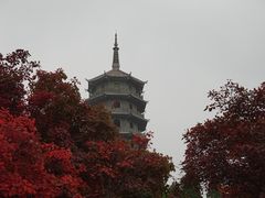 -九如山休闲旅游度假区
