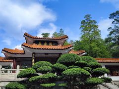 -深圳仙湖植物园