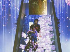 -大塘金香草谷