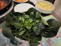 -巴蜀大将火锅(春熙店)