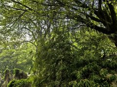 -桂林古东瀑布景区