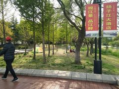 -扬子江公园