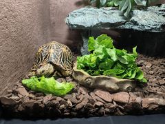 -上海海洋水族馆