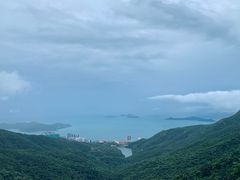 -香港皇家太平洋酒店