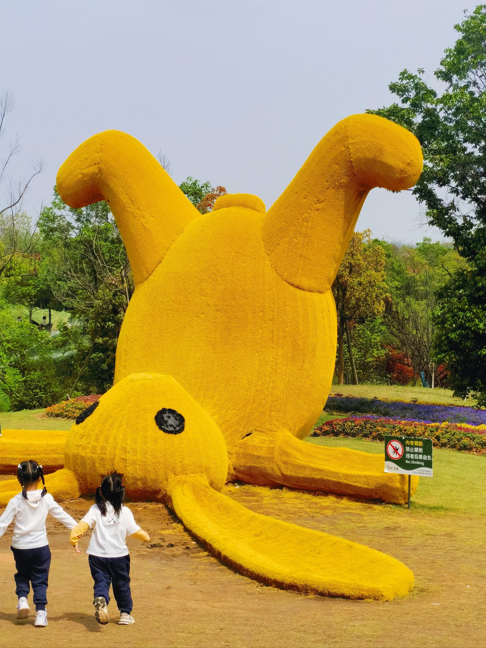 常州花海旅游景点地址图片