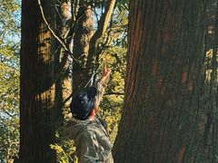 -天目山大树王景区