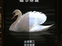 -武商摩尔影城(国广IMAX激光店)