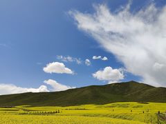 -扁都口生态休闲旅游区