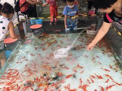 -丰台花园