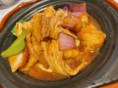 红烧支竹斑腩煲-新宝餐厅(流塘店)