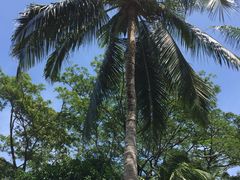 -东姑阿都拉曼海洋公园