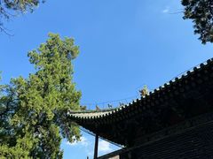 -关林