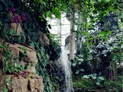 iphone_upload_pic-郑州植物园