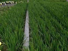 -证大喜玛拉雅中心