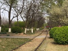 -永定河休闲森林公园