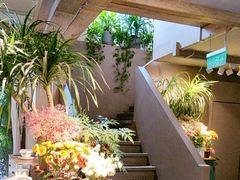 -春暖花开(西溪店)