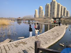 -前关湿地公园